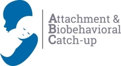 Attachment Biobehavioral Catch-up webpage.
